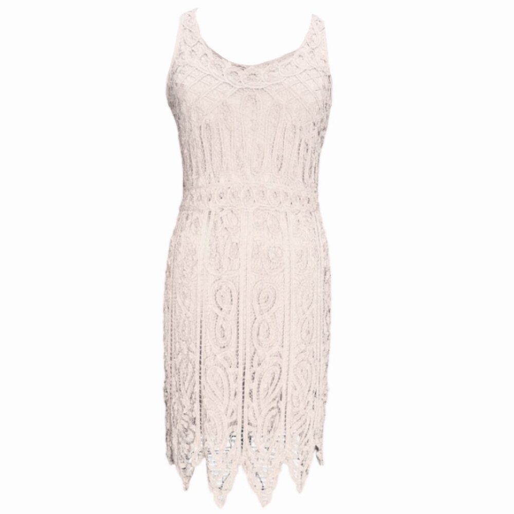 Stunning R & M Richards Lace Overlay Sleeveless Sheath Dress
